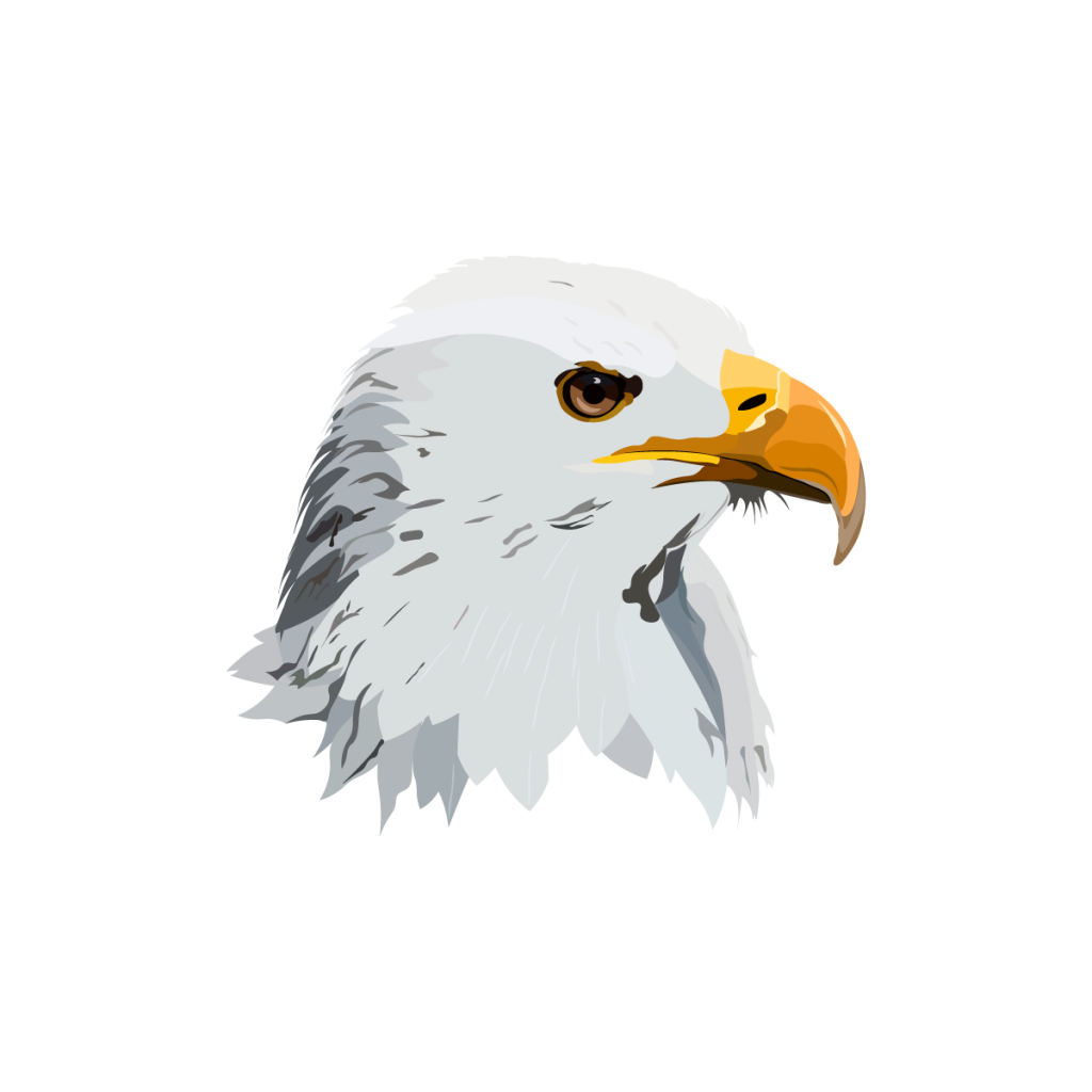 Avatar Aguila